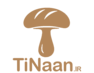 tinaan.ir
